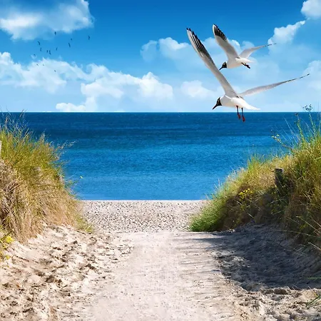 Hébergement de vacances 2 Typ D 4 *